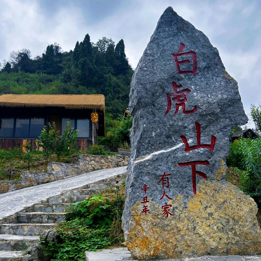 老辉哥