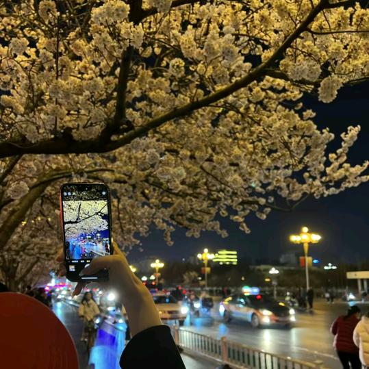 情迷泽.