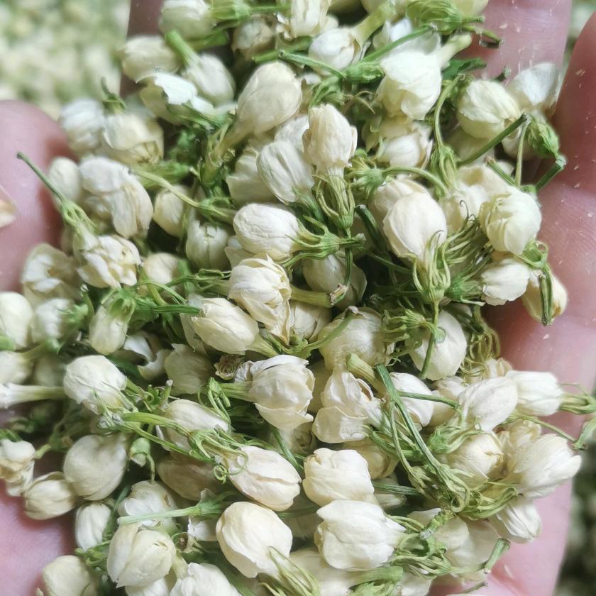 茉莉花烘干厂