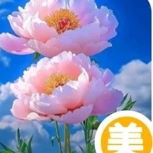 （🌹玫瑰虹🌹🌹🍀☘️🎋🎋🌛