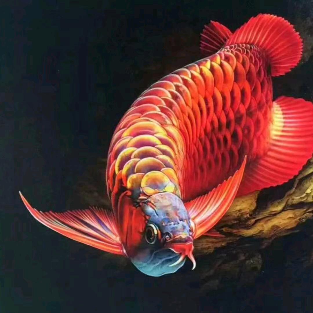 德州大刘庄海洋水族馆
