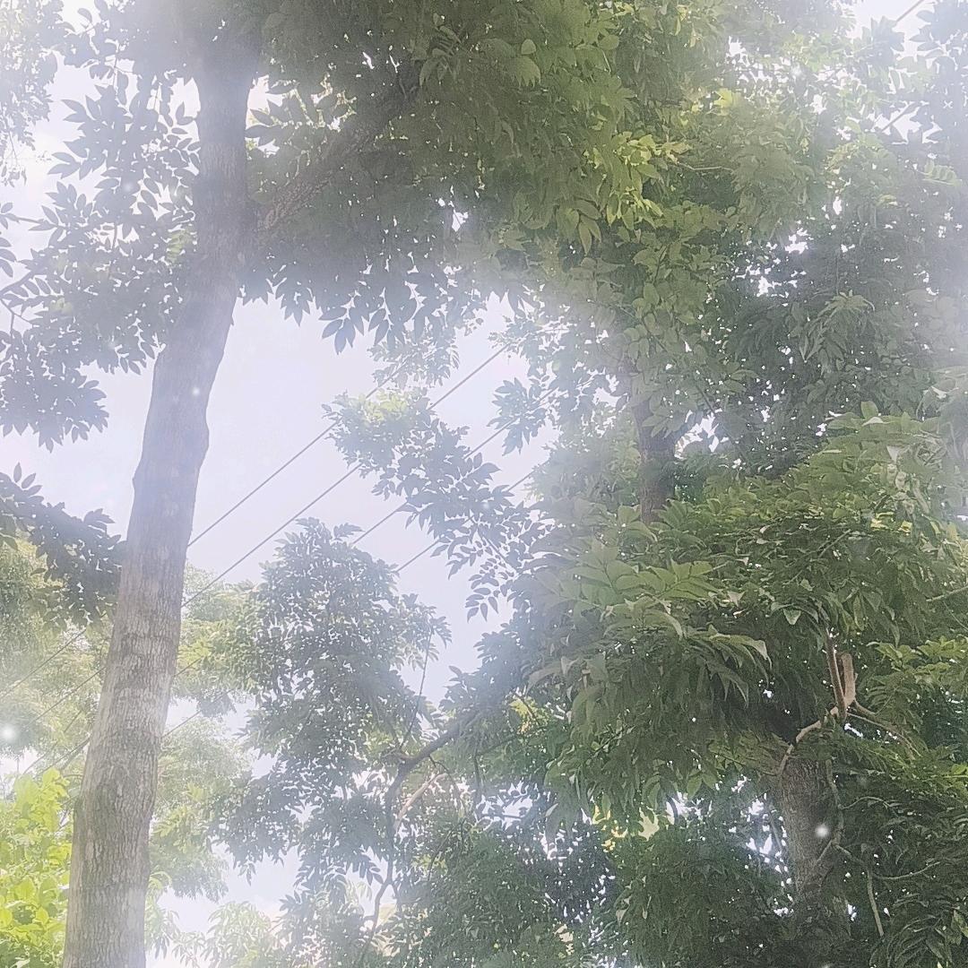 小明哥