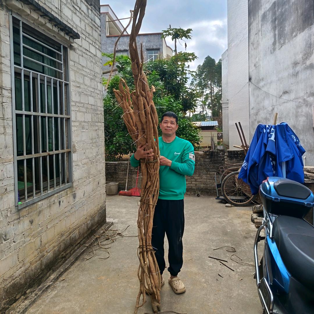 万般皆是命，半点不由人