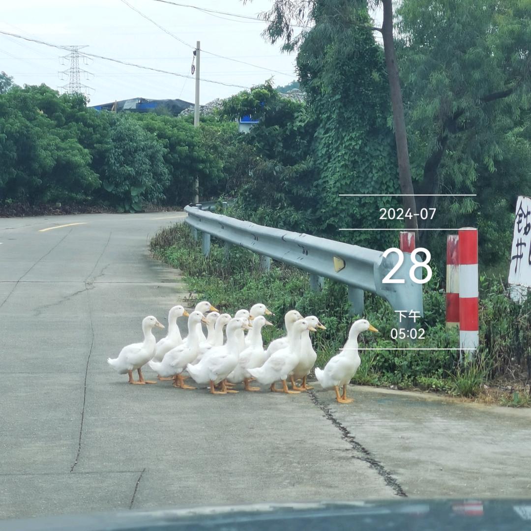 果农侠水果旗舰店