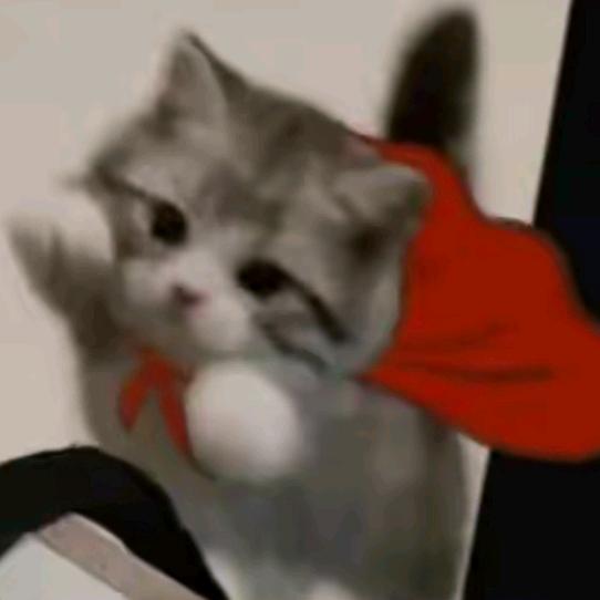 ㅤㅤㅤㅤㅤㅤㅤ