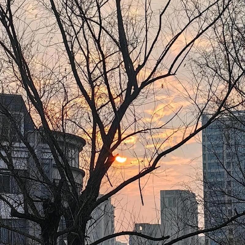 西安沙哥