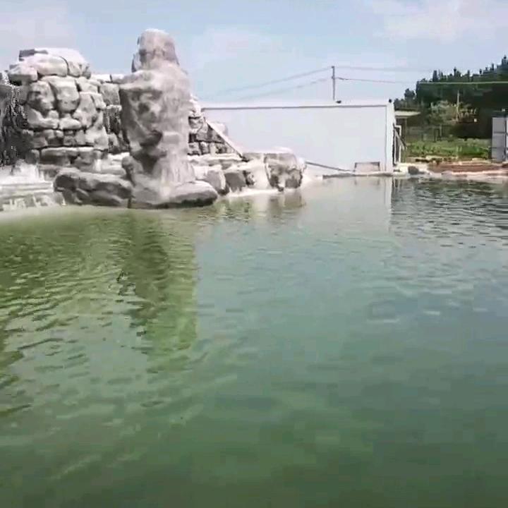 春意盎然