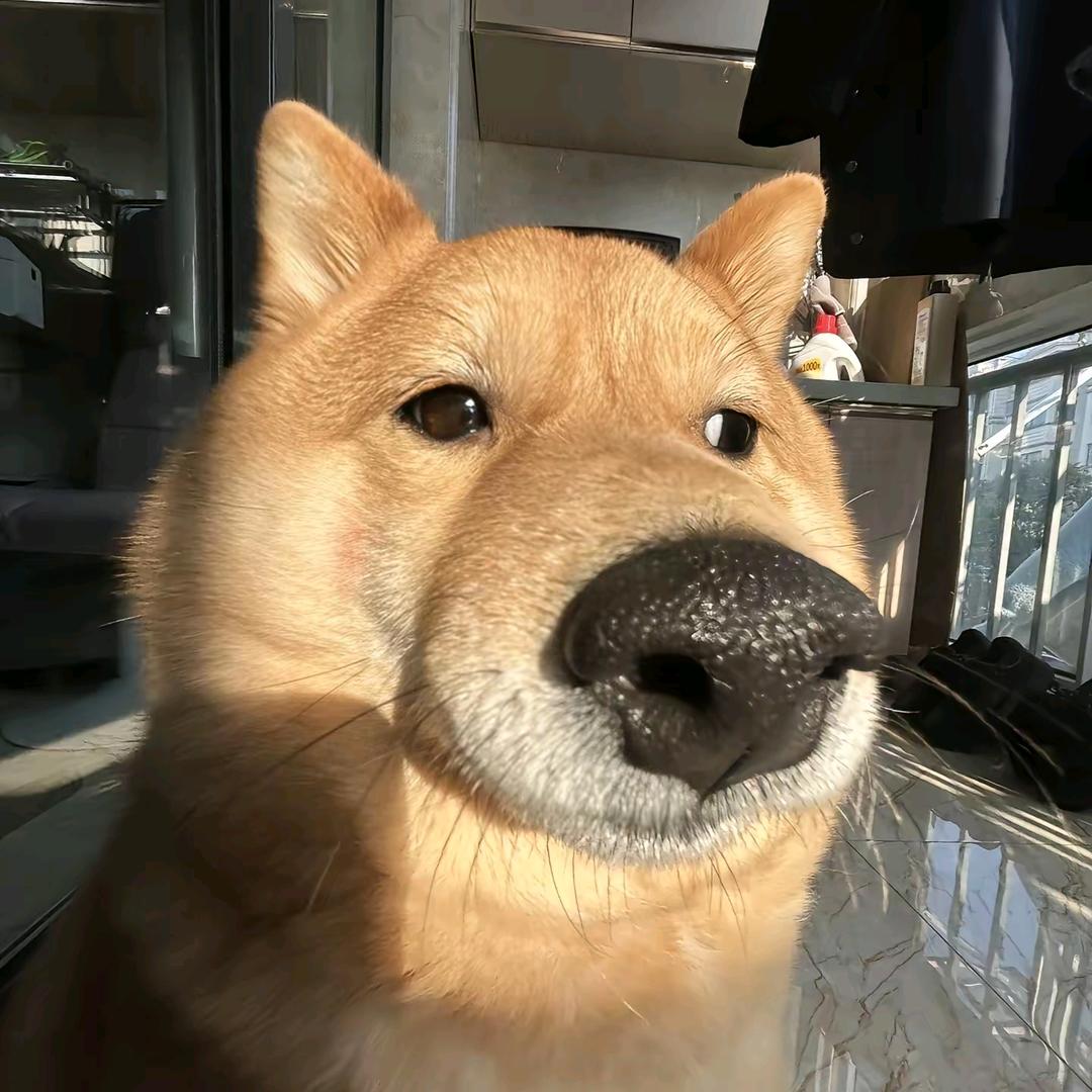 EZ点