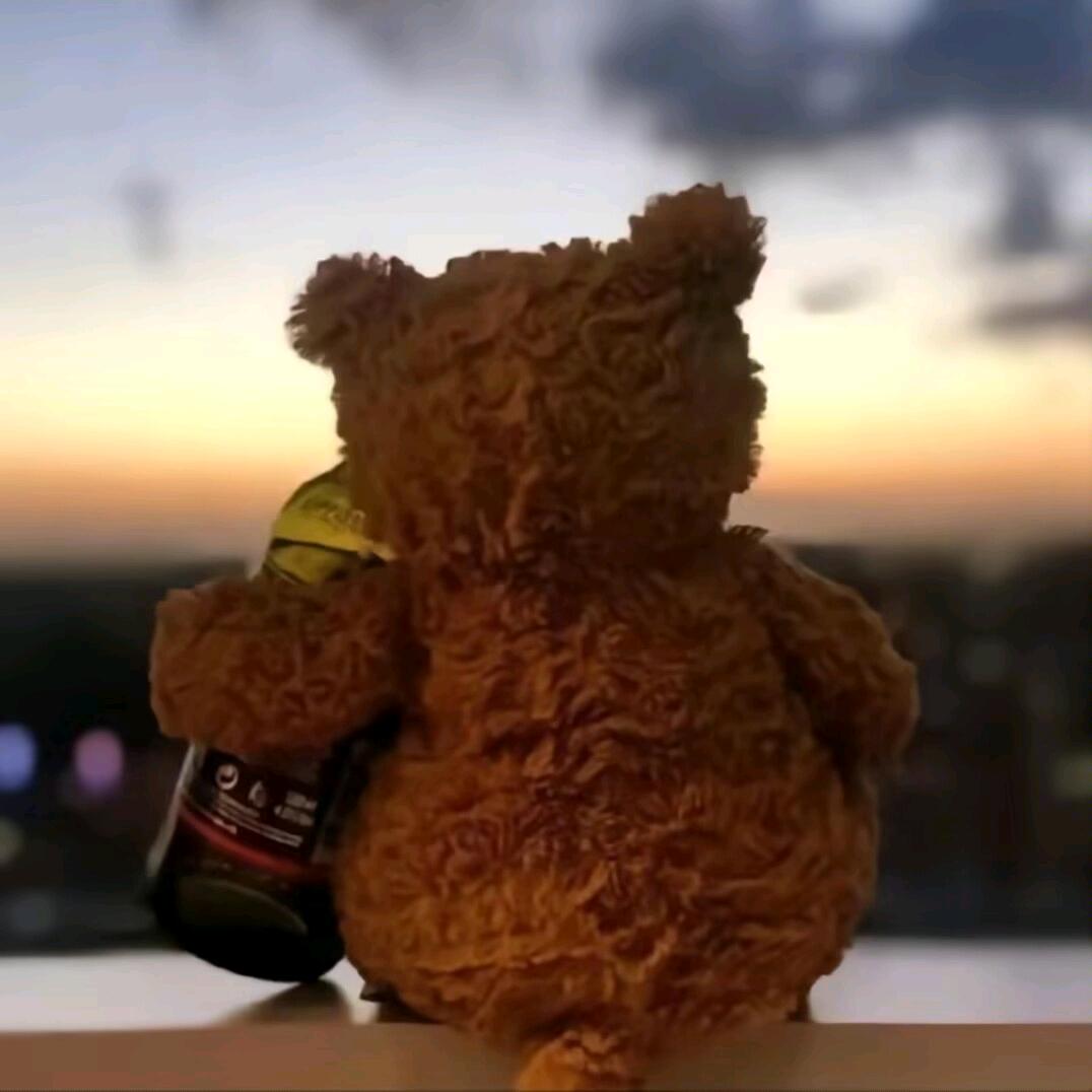 挽晚风入梦