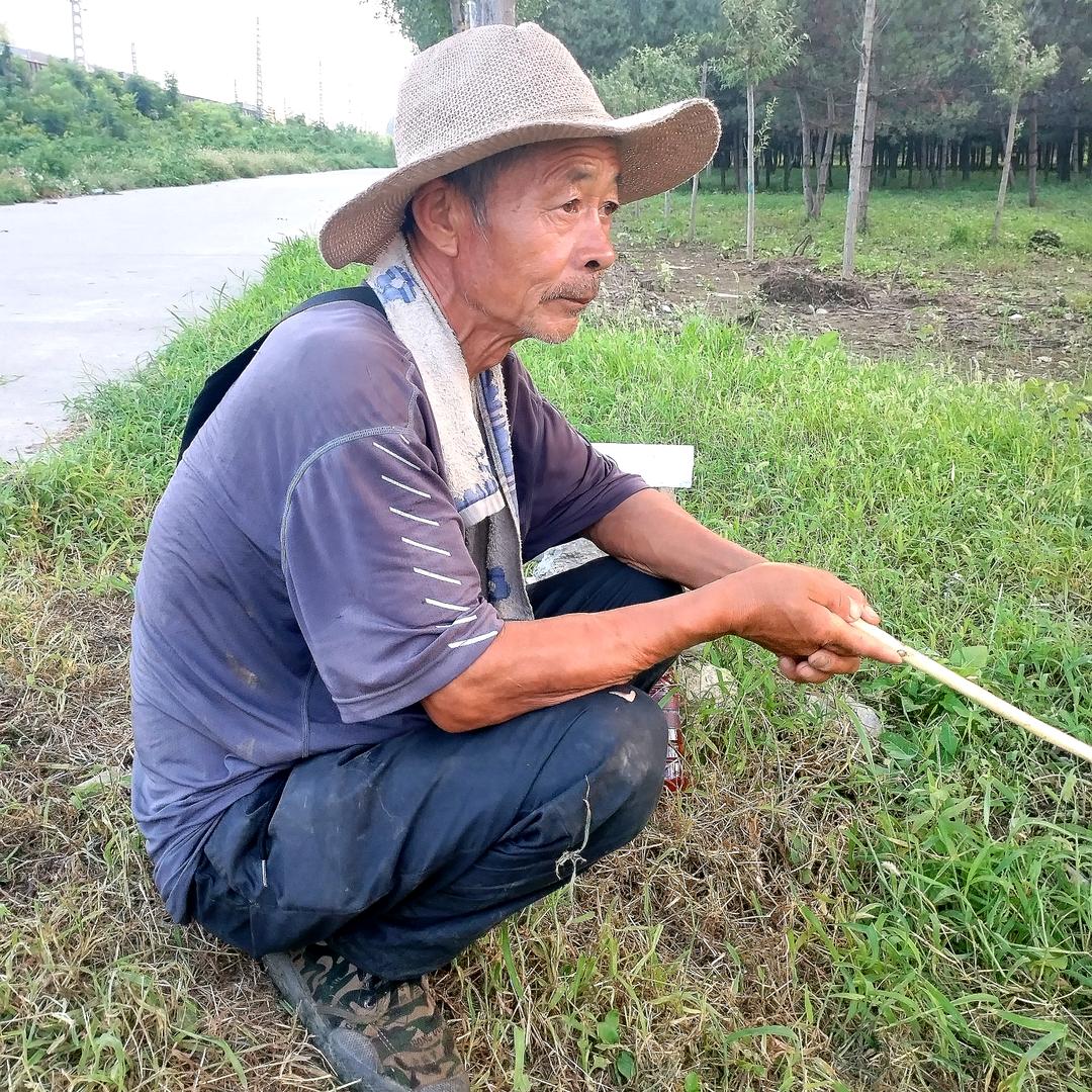 枯木逢春（新人不会弄疏忽的地方多包涵）