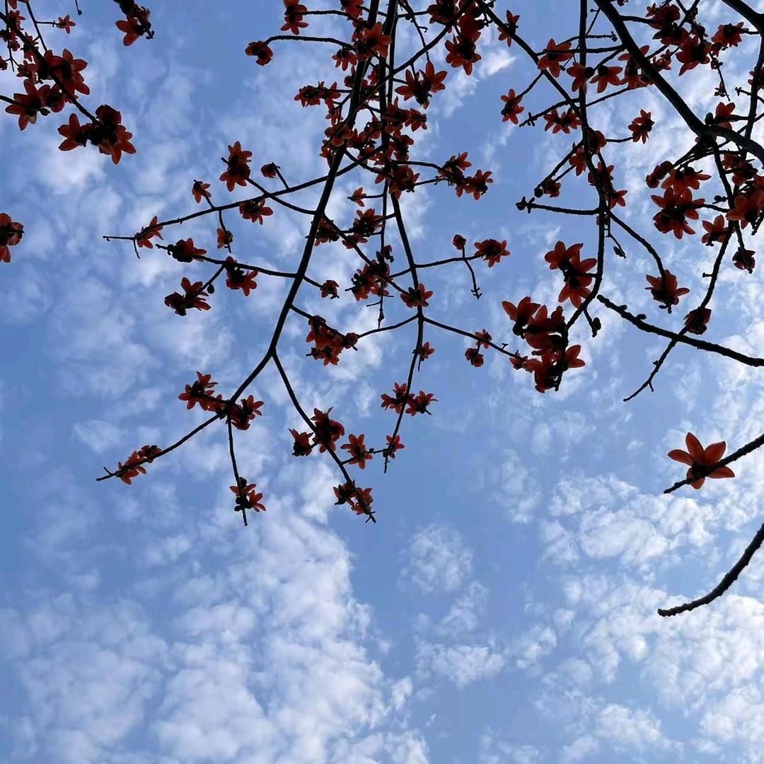 进口及国产玻璃原材料！