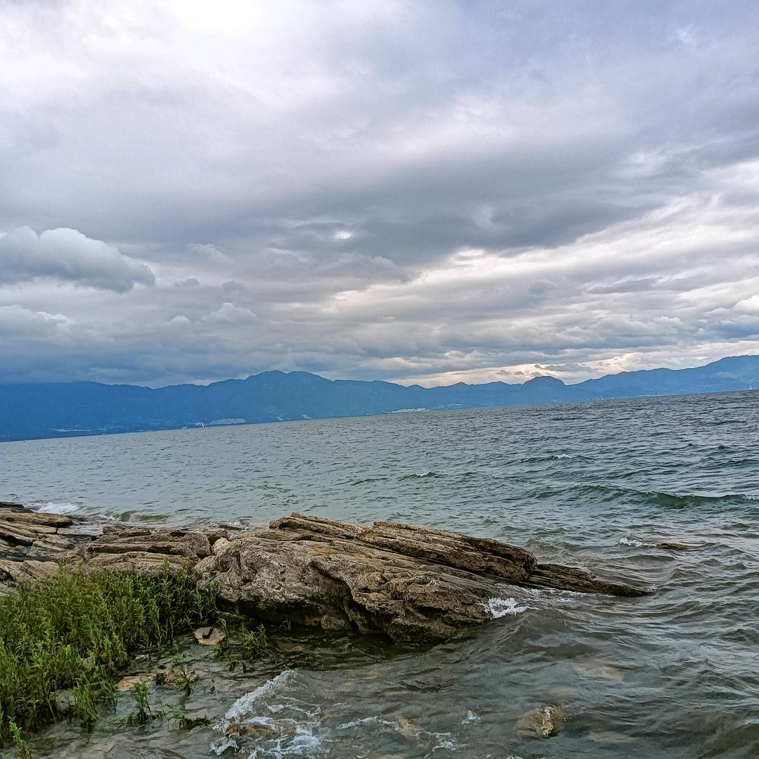 李姐（爱二胡）🎵🎵🎵🐰🐰🐰