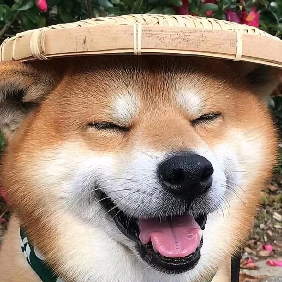 小江同学吖！