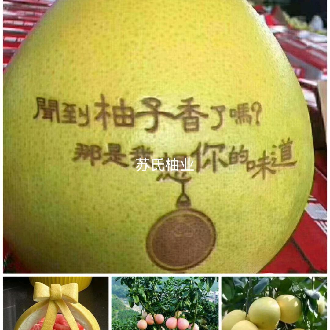 蘇氏果蔬有限公司