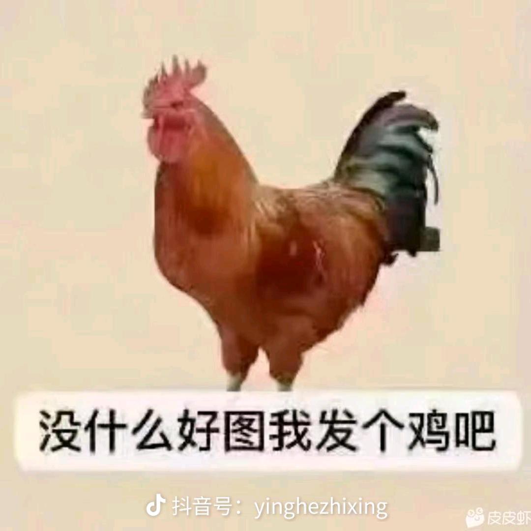 时文斌（如何呢版）