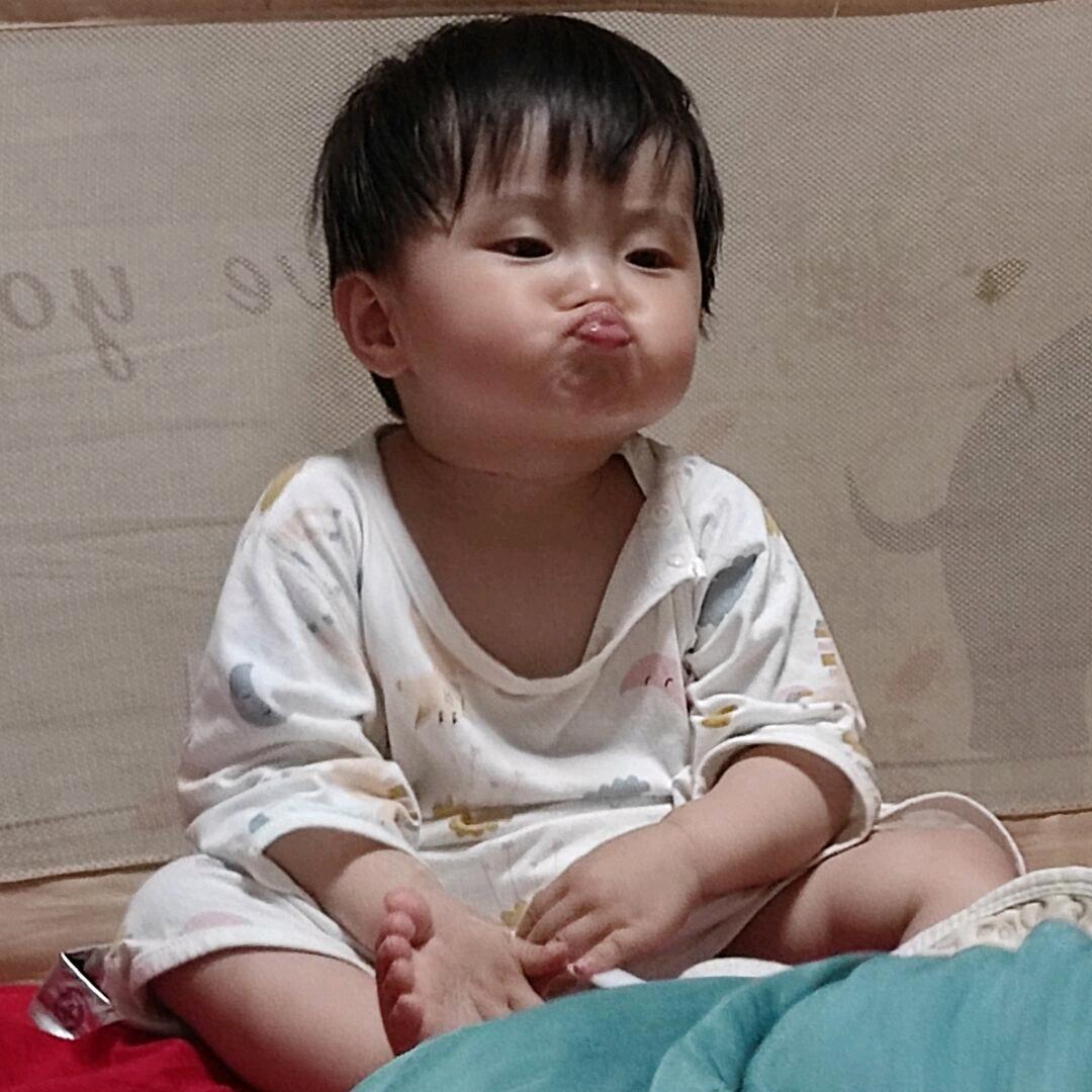 🍏懒🐏羊洋🐏