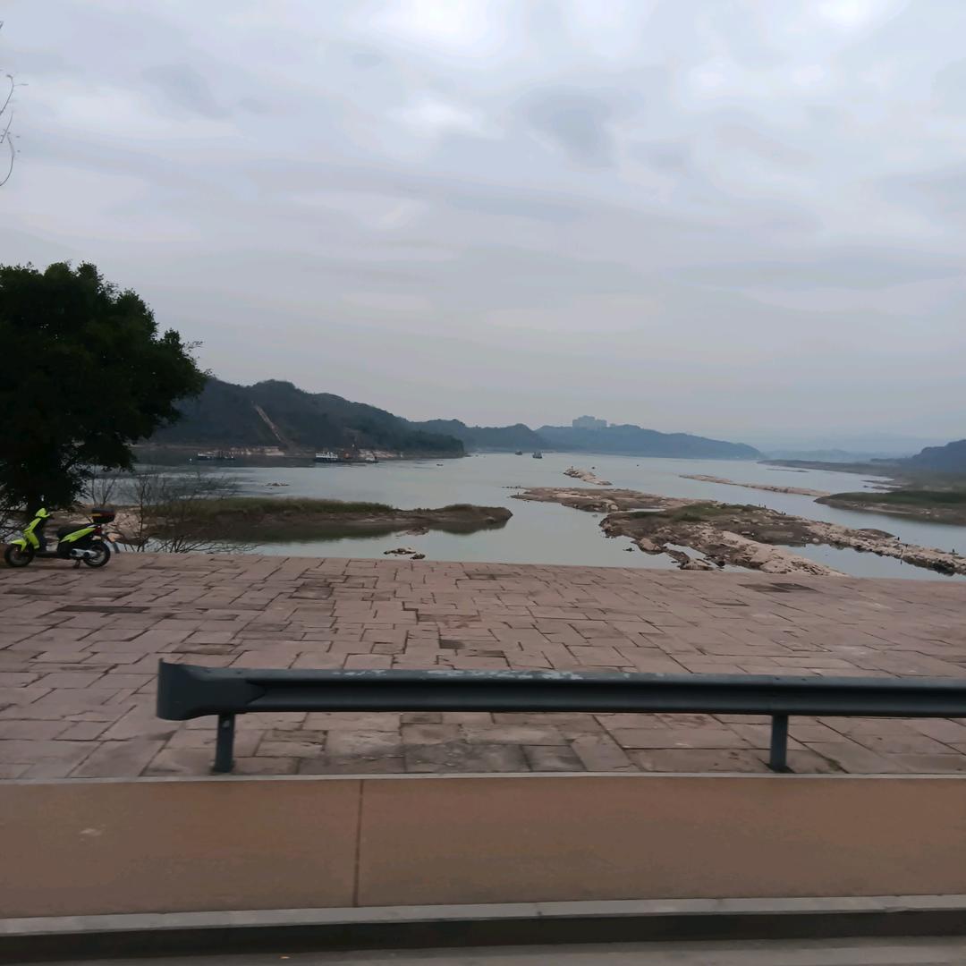 (ﾉ 如(^･ｪ･^雷)○ 贯Д ○耳)