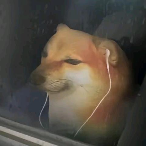 情梧锁秋