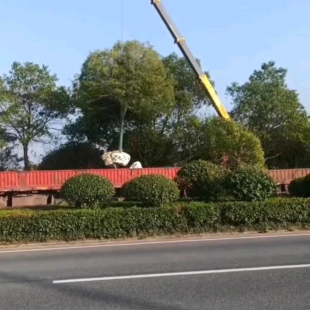 天达园林
