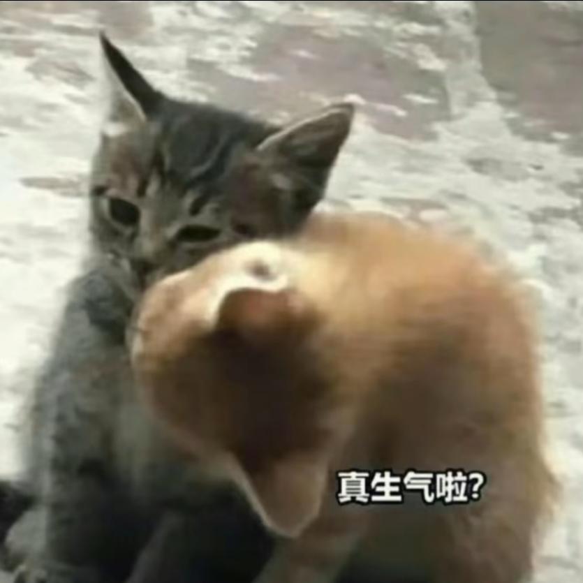 没德没素质