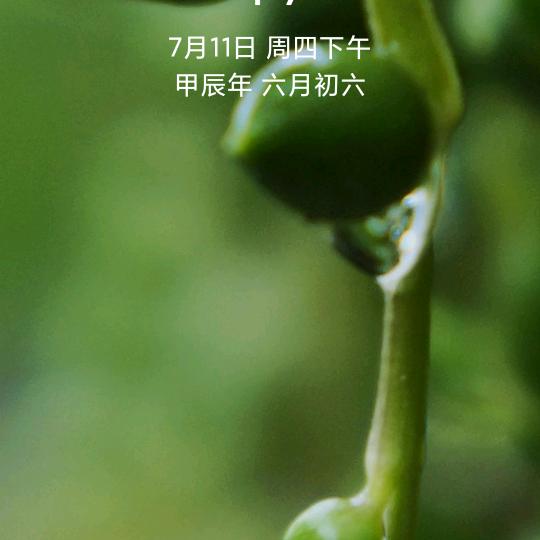 连云港人