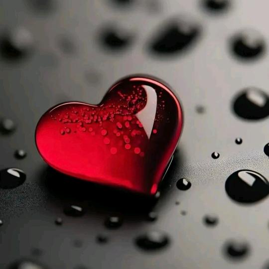 小辣椒🌶🌶🌶