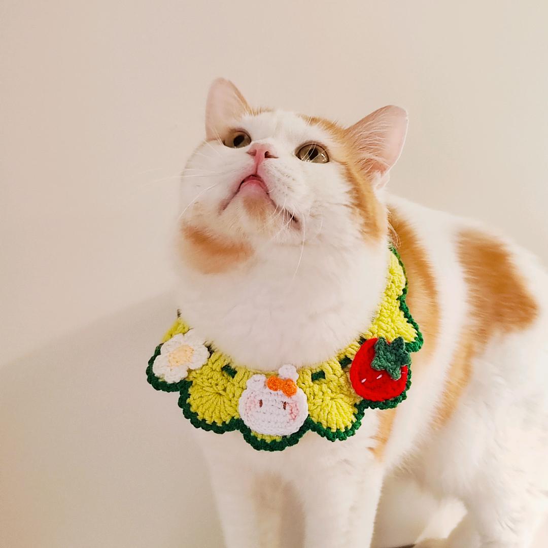 LeshiCat宠物商店