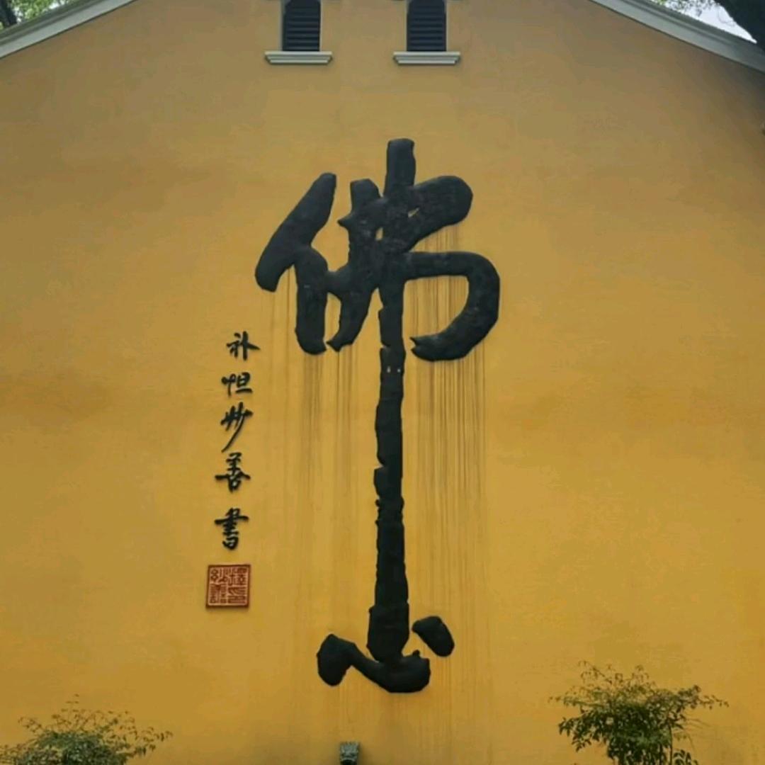 😍😍年糕😍😍