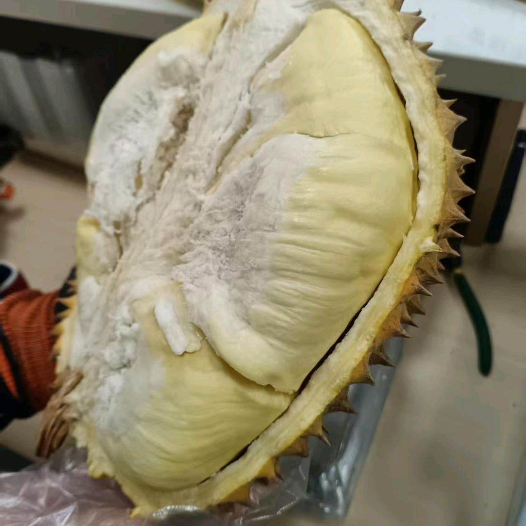 邻途榴莲大世界(康复路店)