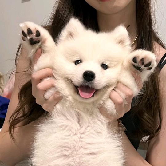 我叫李只只🤓