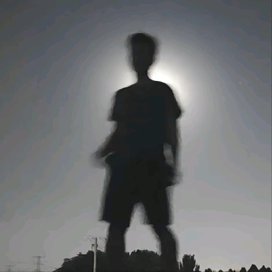 黑黑的胖登