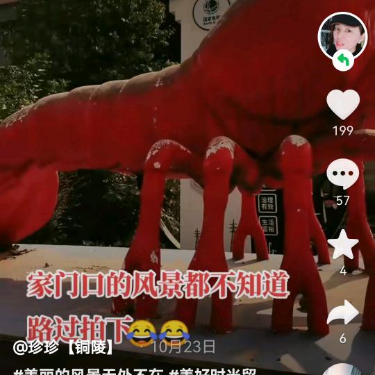皖美单身果