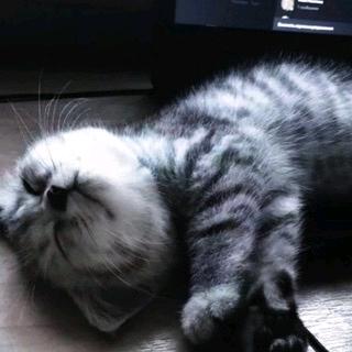 麦克可乐
