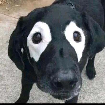 @你旺我旺大家旺