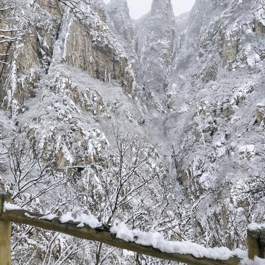 安静的雪