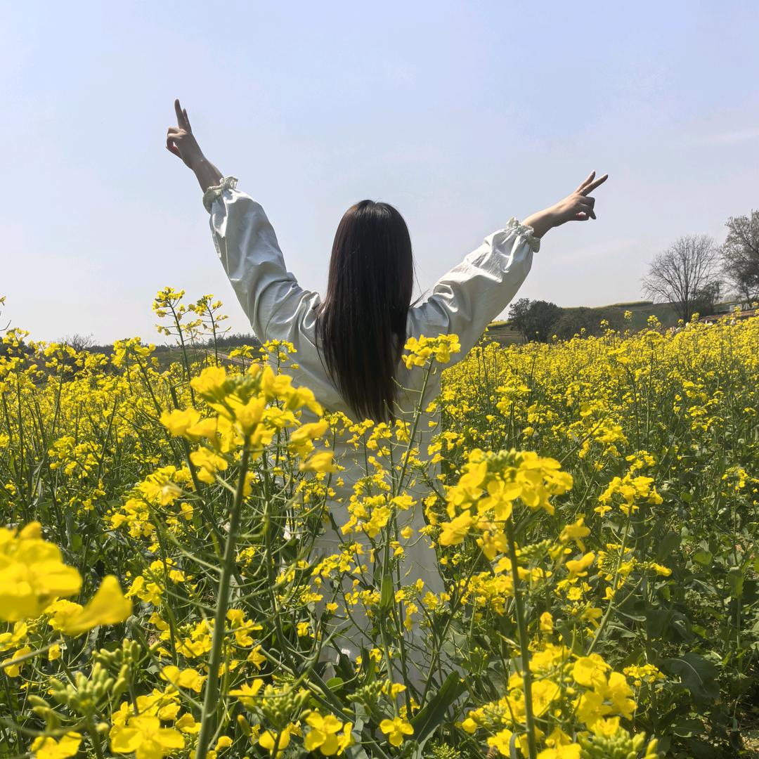 ❦王家丫头ོ꧔ꦿ