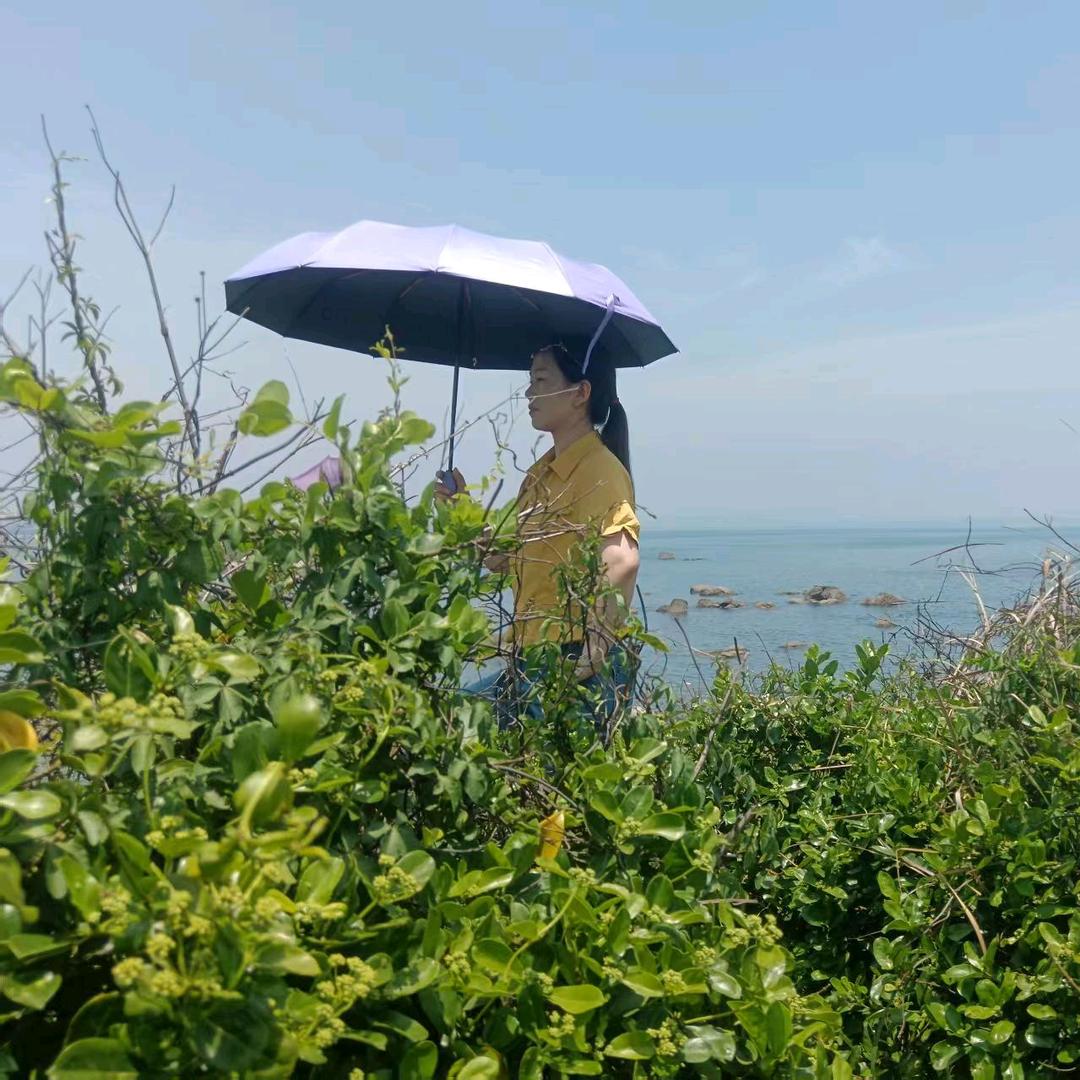 婷妹子〈川E在粤D〉