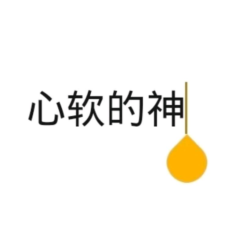 专业匿名隐私丶短信服务