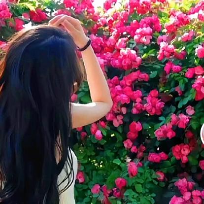 💗李、小双💗