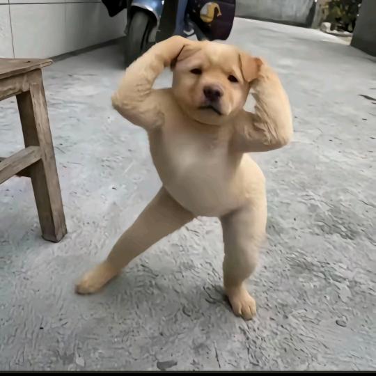 烟酒小陆