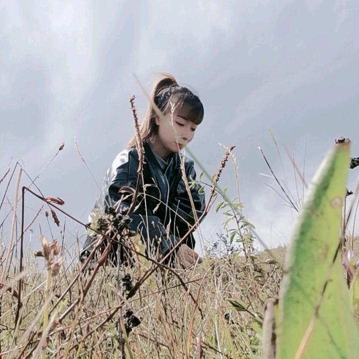 蝶影