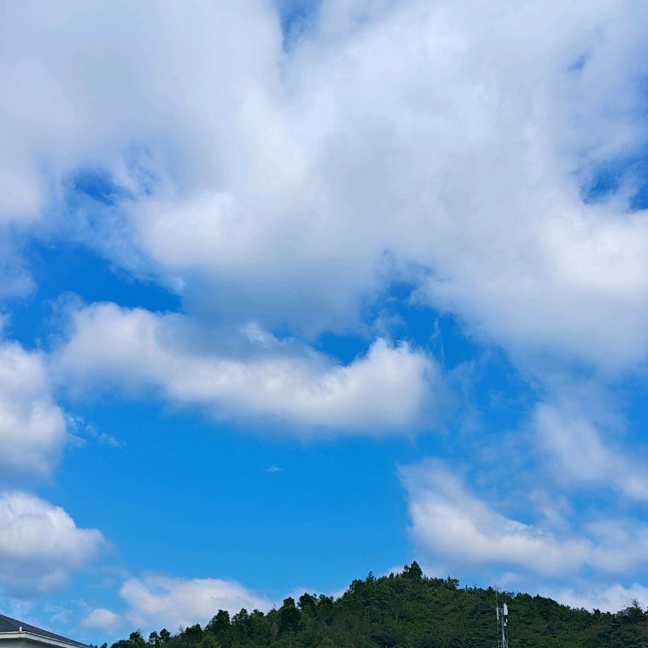 追光少年郎BH8GLX