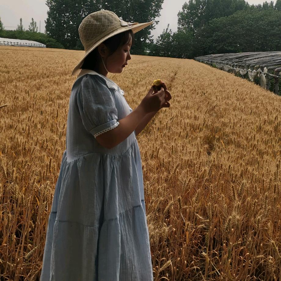 🖌 阡陌红尘🎏