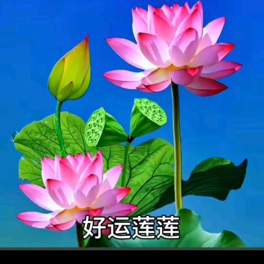 难忘的记忆