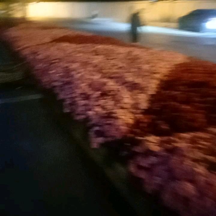 能事毕矣