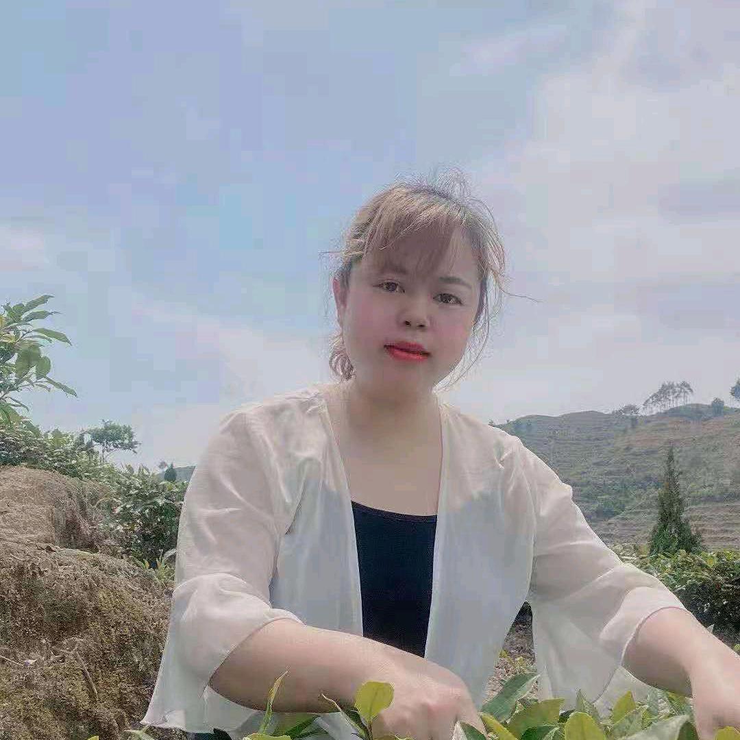 茶丫头