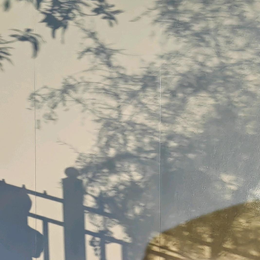 “我以为”