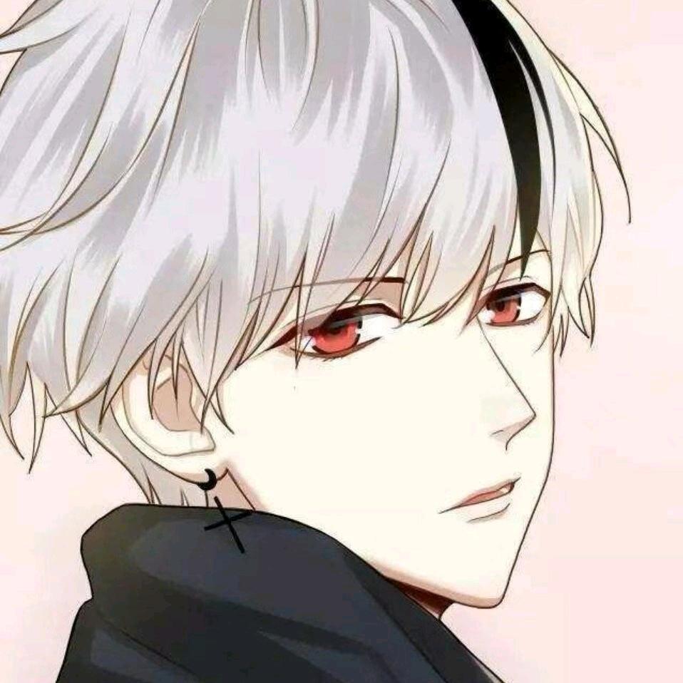 宝拉善宇