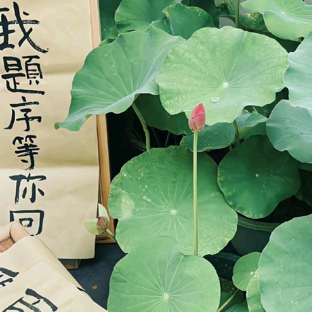 星丹传媒四月个人公会赛1赛道