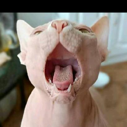 L爷